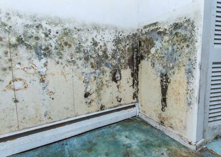 Easy Ways To Prevent Washing Machine Water Damage